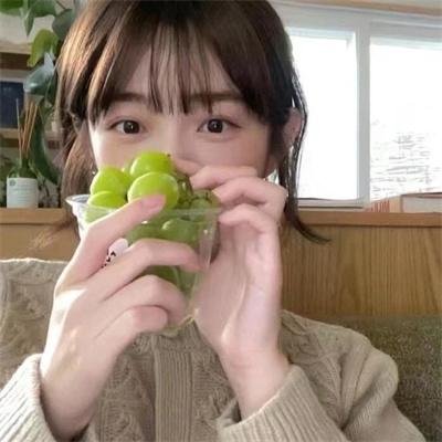 被驱逐的馆长